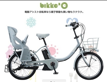 園児を乗せる自転車.jpg
